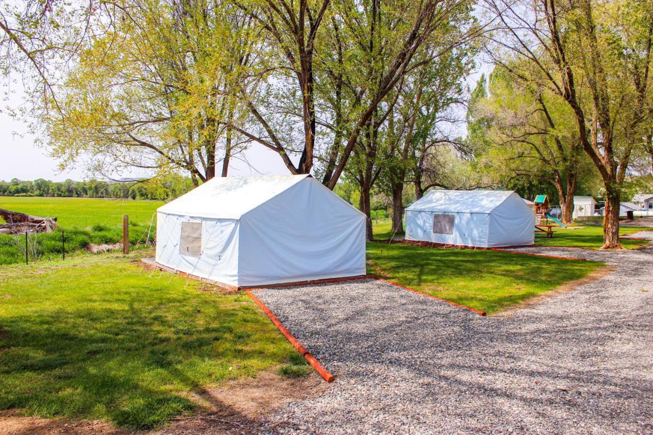 Shell Campground Greybull Exteriör bild